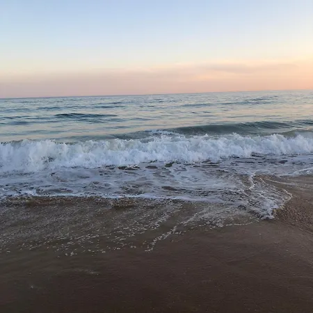Cozy Apartment, 5 Min To Da Rocha, Algarve *