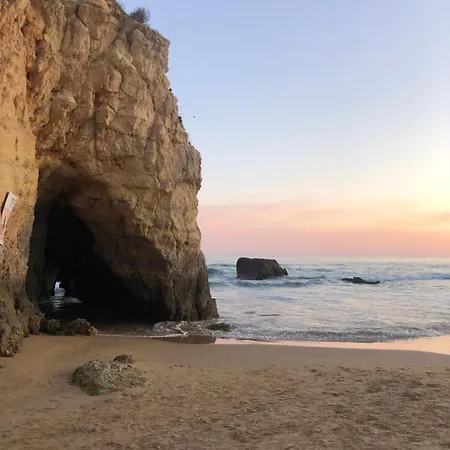 Cozy Apartment, 5 Min To Da Rocha, Algarve Appartement